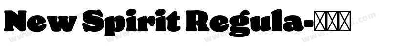 New Spirit Regula字体转换